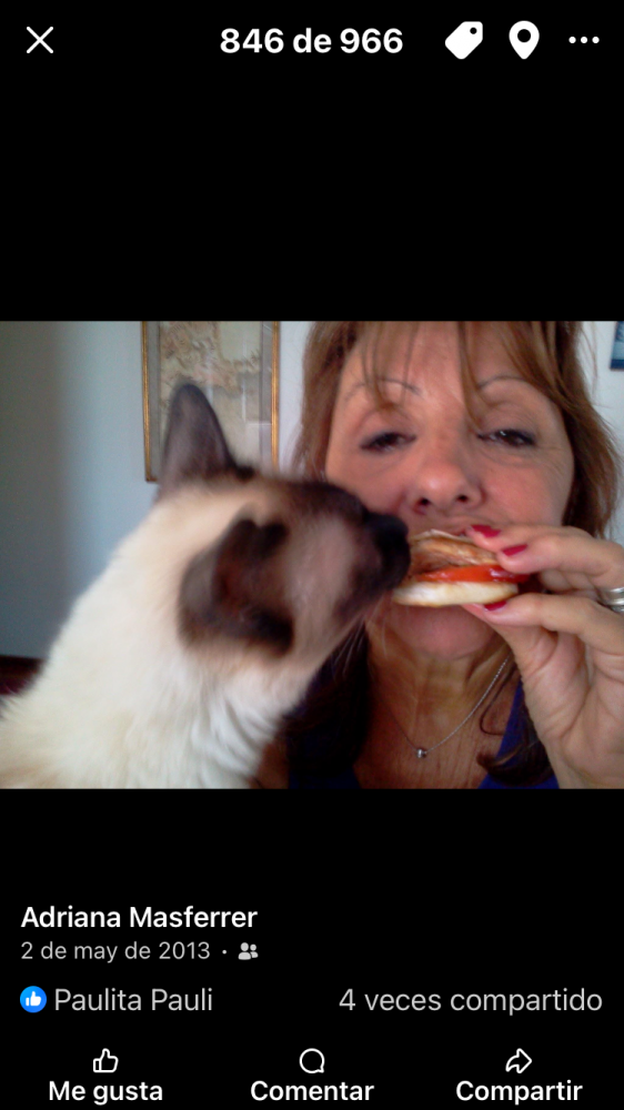 Tisha "Titi" Signori - foto